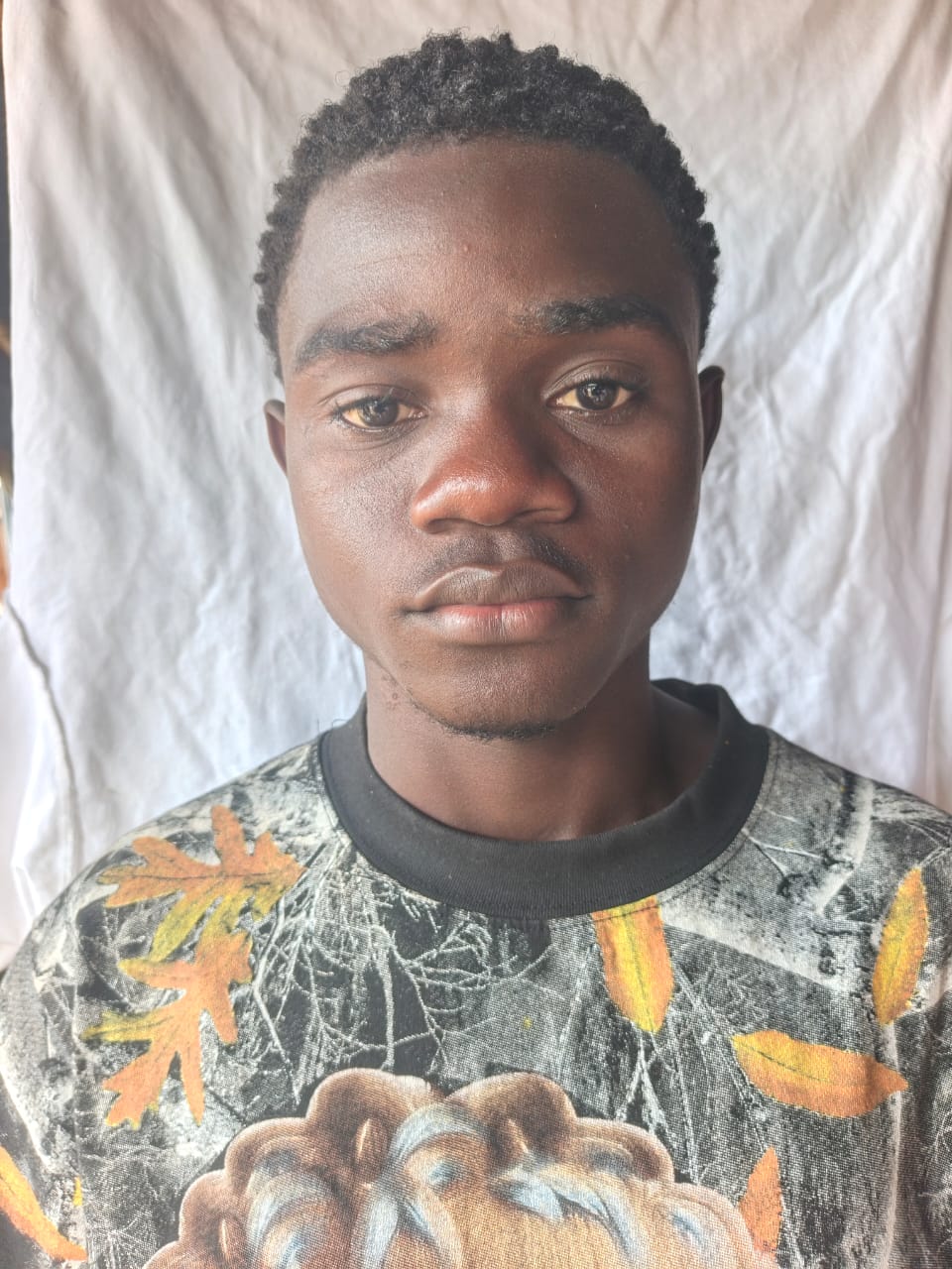 Ngouambela hors harlan